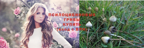 ПСИЛОЦИБИНОВЫЕ ГРИБЫ Алексин